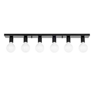 Mirro 6 Light Ceiling Light in Black