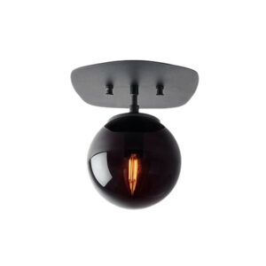 Walden Metal Ceiling Light in Black