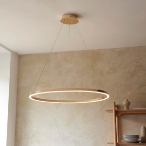 Salisbury Metal Pendant Ceiling Light In French Gold