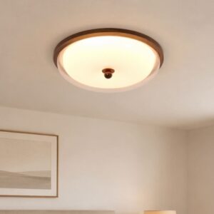Walnut Acrylic Shade Ceiling Light | Colour-Changing Flush Mount - Pre-Order